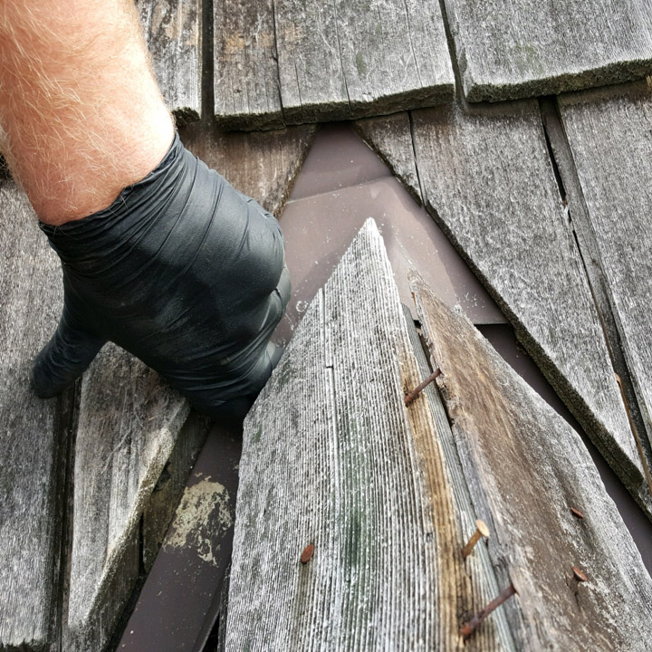 Squirrel Damage Repair